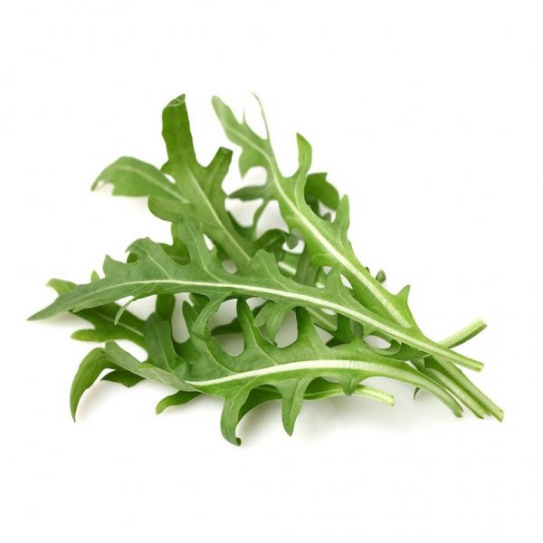 Click and Grow Smart Garden Refill 3-pak – Rucola