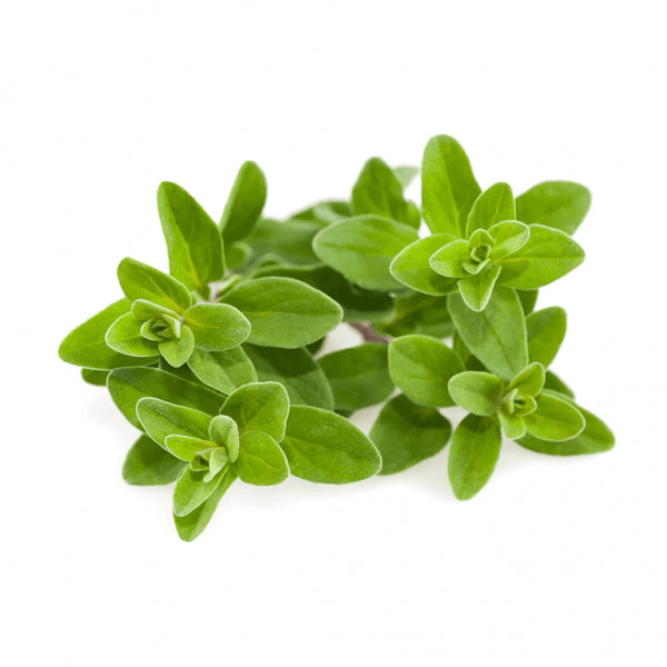 Click and Grow Smart Garden Refill 3-pak - Merian