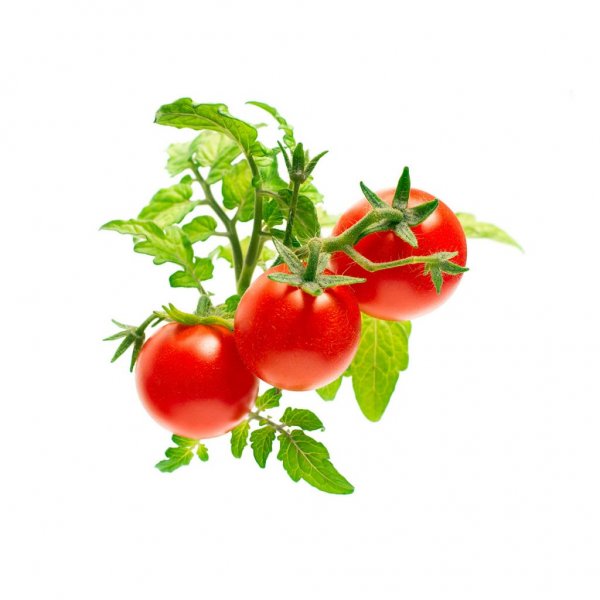 Click and Grow Smart Garden Refill 3-pak - Minitomater