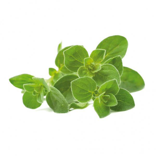 Click and Grow Smart Garden Refill 3-pak - Oregano