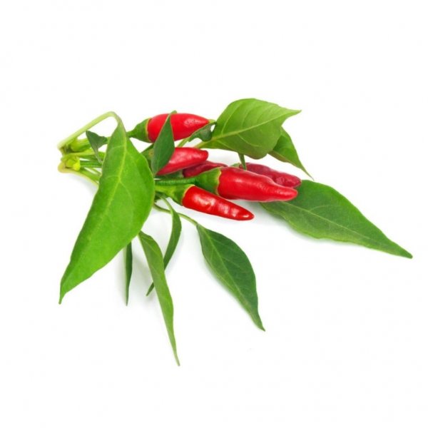 Click and Grow Smart Garden Refill 3-pak – Piri Piri