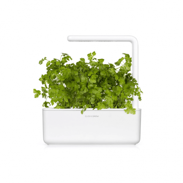 Click and Grow Smart Garden Refill 3-pak - Persille