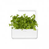 Click and Grow Smart Garden Refill 3-pak - Persille