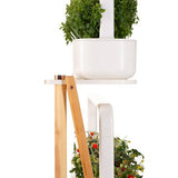 Click & Grow Smart Garden Plantestativ