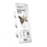 Click and Grow Smart Garden Refill 3-pak - Rosenstænk