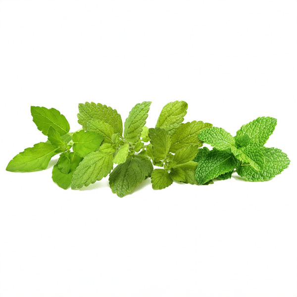 Click and Grow Smart Garden Refill 9-pak Calming Tea Mix