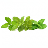 Click and Grow Smart Garden Refill 9-pak Calming Tea Mix