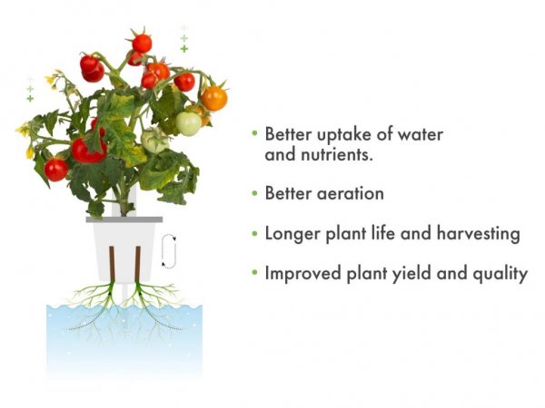 Click and Grow Pro Plant Cups 9-pak