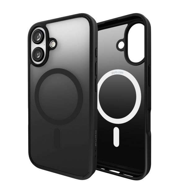 Puro iPhone 16 Cover Gradient Sort