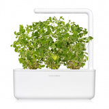 Click and Grow Smart Garden Refill 3-pak - Oregano