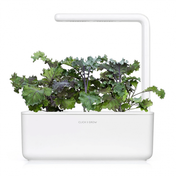 Click and Grow Smart Garden Refill 3-pak - Rødkål