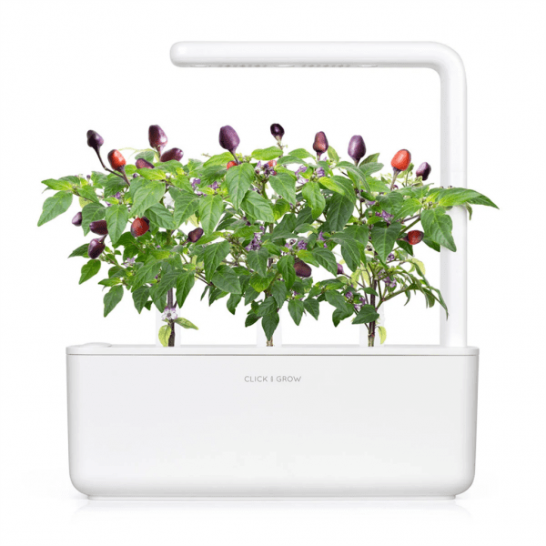Click and Grow Smart Garden Refill 3-pak - Lilla Chilipeber
