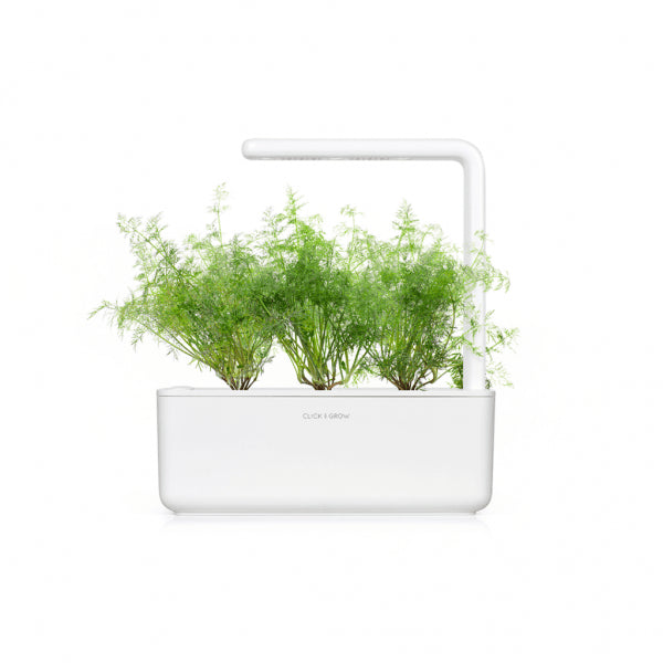 Click and Grow Smart Garden Refill 3-pak - Dild