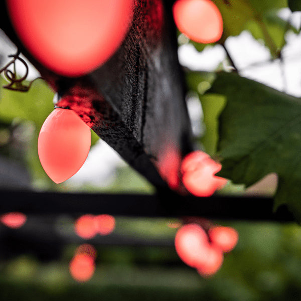 Lite Bulb Moments Smart lyskæde - Ovale globepærer